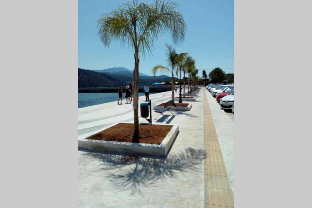 Iris'S Apartment Central With Parking Argostoli  Exterior photo